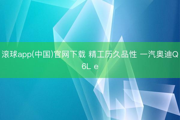 滚球app(中国)官网下载 精工历久品性 一汽奥迪Q6L e