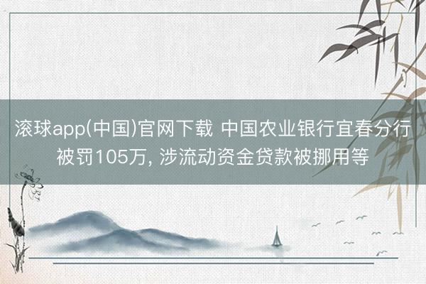 滚球app(中国)官网下载 中国农业银行宜春分行被罚105万， 涉流动资金贷款被挪用等