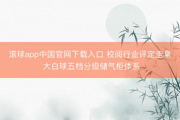 滚球app中国官网下载入口 校阅行业评定圭臬 大白球五档分级储气柜体系