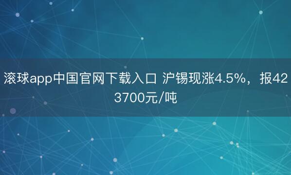 滚球app中国官网下载入口 沪锡现涨4.5%，报423700元/吨