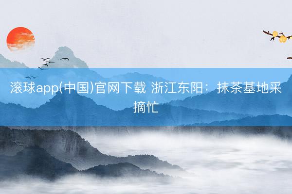 滚球app(中国)官网下载 浙江东阳：抹茶基地采摘忙