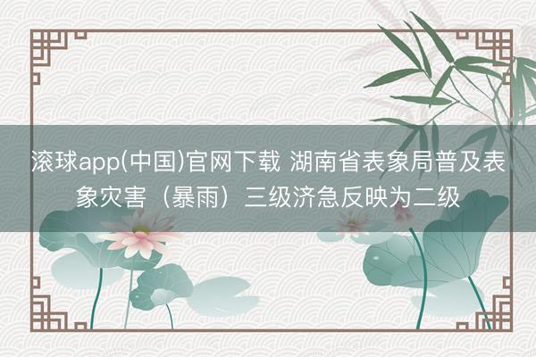 滚球app(中国)官网下载 湖南省表象局普及表象灾害（暴雨）三级济急反映为二级