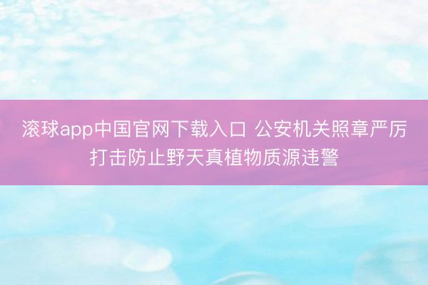滚球app中国官网下载入口 公安机关照章严厉打击防止野天真植物质源违警