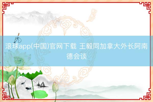 滚球app(中国)官网下载 王毅同加拿大外长阿南德会谈