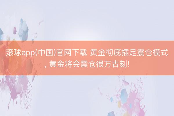 滚球app(中国)官网下载 黄金彻底插足震仓模式， 黄金将会震仓很万古刻!