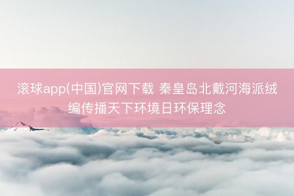 滚球app(中国)官网下载 秦皇岛北戴河海派绒编传播天下环境日环保理念