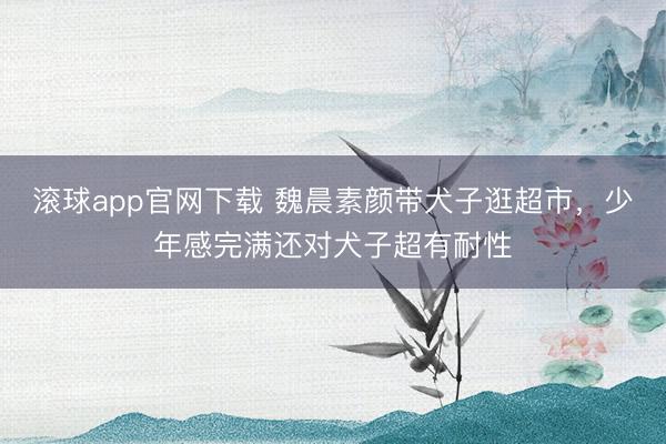 滚球app官网下载 魏晨素颜带犬子逛超市，少年感完满还对犬子超有耐性