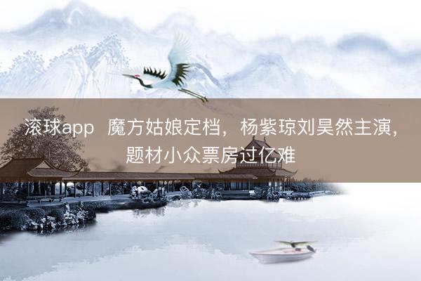 滚球app  魔方姑娘定档，杨紫琼刘昊然主演，题材小众票房过亿难