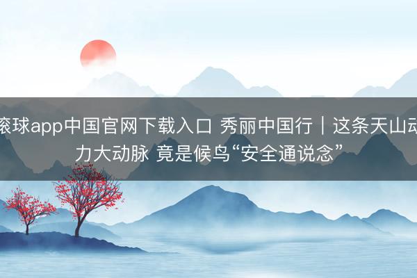 滚球app中国官网下载入口 秀丽中国行｜这条天山动力大动脉 竟是候鸟“安全通说念”