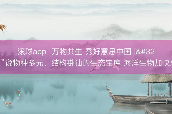 滚球app  万物共生 秀好意思中国 | “数”说物种多元、结构褂讪的生态宝库 海洋生物加快总结