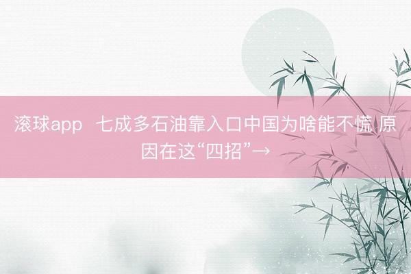 滚球app  七成多石油靠入口中国为啥能不慌 原因在这“四招”→