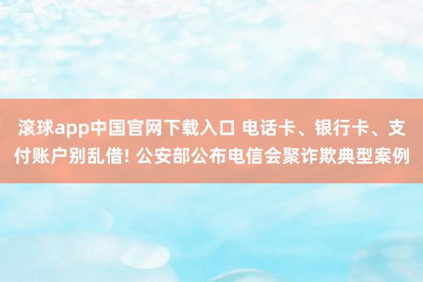 滚球app中国官网下载入口 电话卡、银行卡、支付账户别乱借! 公安部公布电信会聚诈欺典型案例