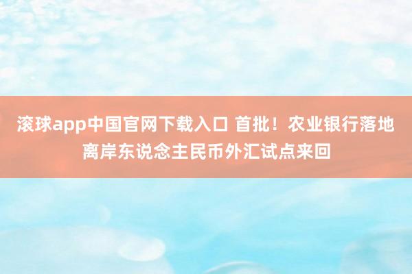 滚球app中国官网下载入口 首批!农业银行落地离岸东说念主民币外汇试点来回