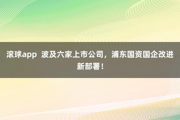 滚球app 波及六家上市公司,浦东国资国企改进新部署!