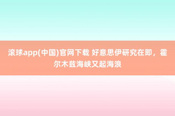 滚球app(中国)官网下载 好意思伊研究在即,霍尔木兹海峡又起海浪